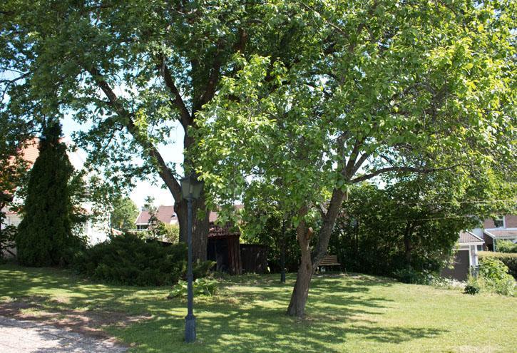 Katrinelunds Bed & Breakfast Västerås Dış mekan fotoğraf
